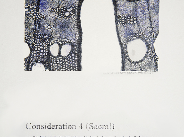 Time out of (skeletal) Joint: The Spineless don't Protest - Consideration 4