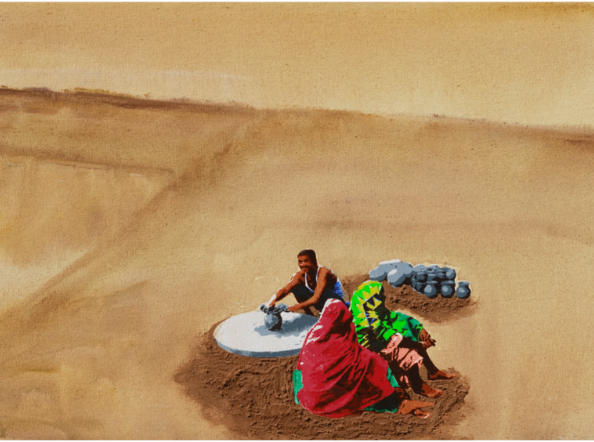 All our seeds are saved