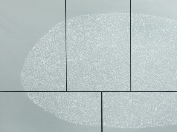 Between The Path and Me