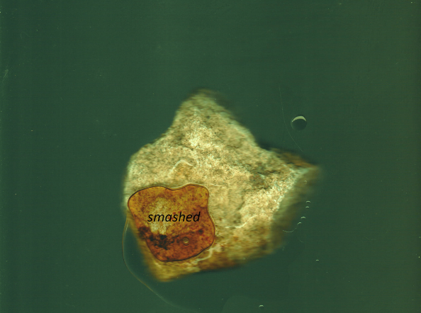 What Is Sin Who Is The Sinner? #4