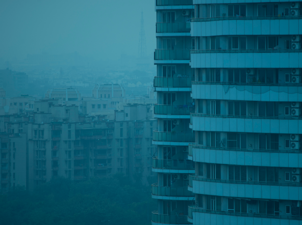 The Great Derangement (after Ghosh), An Elegy for Ecology