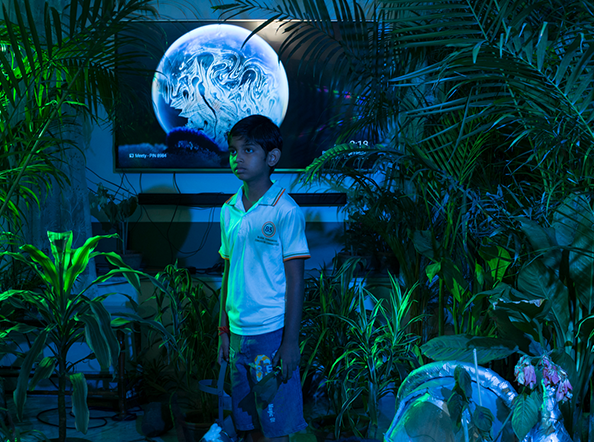 ​An Elegy for Ecology - 5 (Kolkata, West Bengal, India)