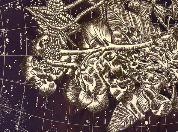 The King's Gambit 2, 2026