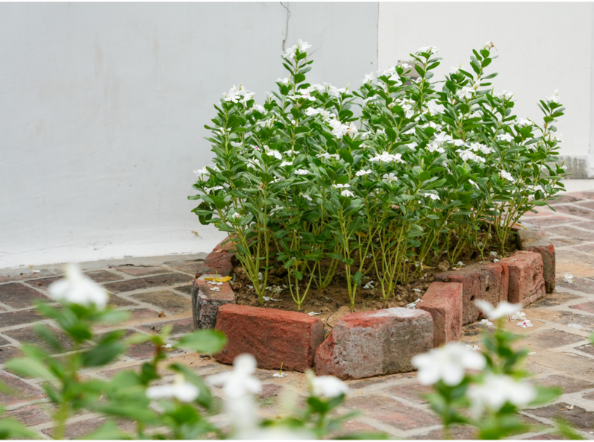 Rites Adrift (component 04)