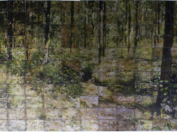 Calculative Division