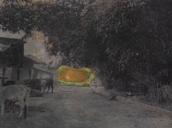 Restricted areas, 2024-25