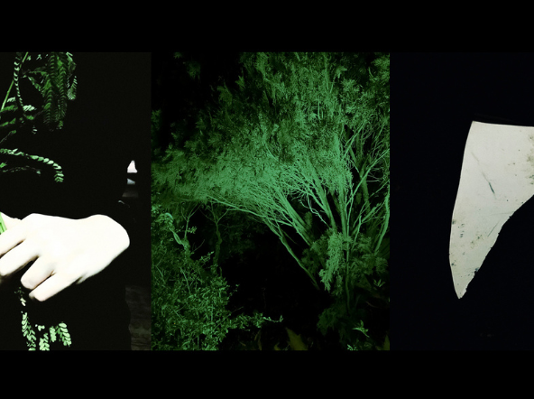 Raśmi - Untitled 48