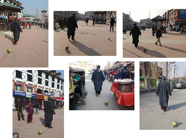 Walking the Cabbage in Srinagar